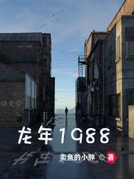 龙年1988 封面