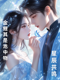 星辰共鸣 封面