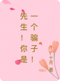 先生！你是一个骗子！ 封面