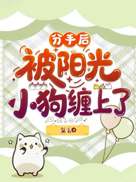 分手后,被阳光小狗缠上了 封面