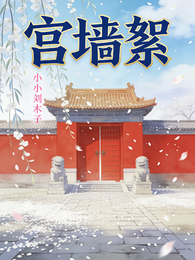 宫墙絮 封面