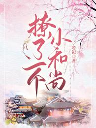 撩了一个小和尚 封面