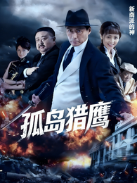 孤岛猎鹰 封面