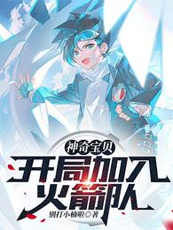 神奇宝贝:开局加入火箭队 封面