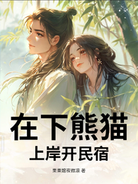 在下熊猫,上岸开民宿 封面