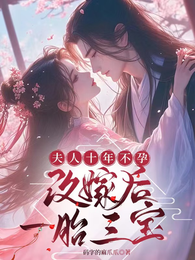 夫人十年不孕，改嫁后一胎三宝 封面