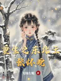 重生之东北王张怀晚 封面