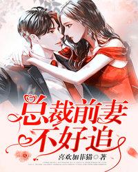 总裁前妻不好追 封面