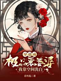穿越成极品恶婆婆，我靠空间洗白 封面