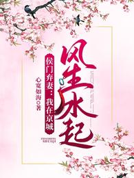 侯门弃妻:我在京城风生水起 封面