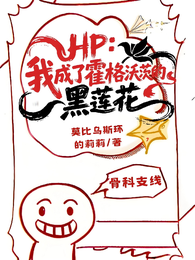 HP：我成了霍格沃兹的黑莲花 封面