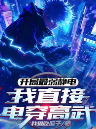 开局最弱静电，我直接电穿高武 封面