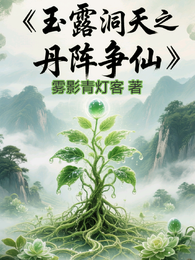 玉露洞天之丹阵争仙 封面