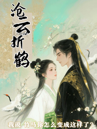 沧云折鹤 封面