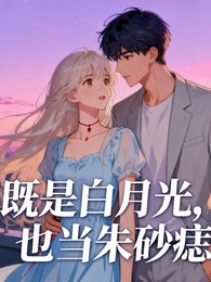 既是白月光,也当朱砂痣 封面