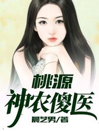 桃源神农傻医 封面