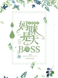 天价萌宝：妈咪是大BOSS 封面