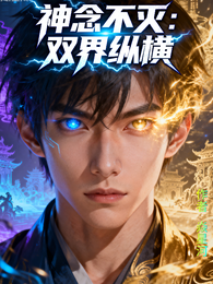 神念不灭：双界纵横 封面