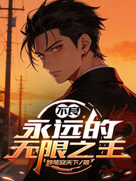 不良:永远的无限之王 封面