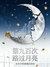 第九百次路过月亮 封面