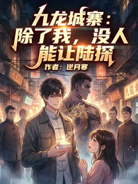 九龙城寨:除了我,没人能让陆探 封面