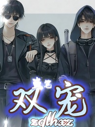 盗笔：双宠 封面