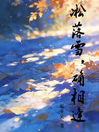 凇落雪，确相逢 封面