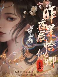 昨夜星辰恰似卿 封面