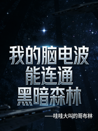 我的脑电波连接宇宙黑暗森林 封面