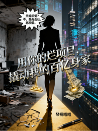 用你的烂项目撬动我的百亿身家 封面