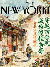 穿越四合院成为傻柱亲哥 封面