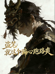 盗笔:就这个骗心跑路爽 封面