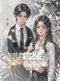 错嫁之后,归期是你 封面