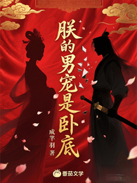朕的男宠是卧底 封面