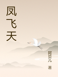 凤飞天 封面