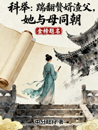 科举:踹翻赘婿渣父,她与母同朝 封面