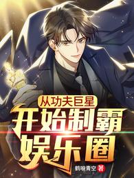 从功夫巨星开始制霸娱乐圈 封面