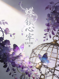 蝶锁心牢 封面