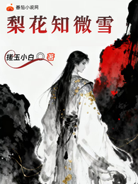 梨花知微雪 封面