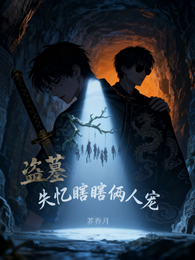 盗墓，失忆瞎瞎俩人宠 封面