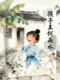 四合院之孩子王何雨水 封面