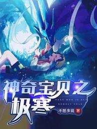 神奇宝贝之极寒 封面