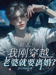 什么！我刚穿越，老婆就要离婚？ 封面
