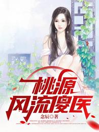 桃源风流傻医 封面