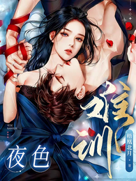 夜色难训 封面