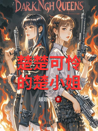 楚楚可怜的楚小姐 封面