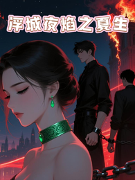 浮城夜焰之夏生 封面
