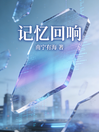 记忆，回响 封面