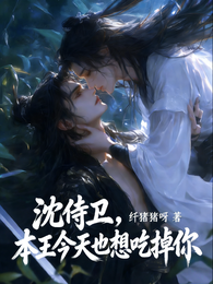 沈侍卫，本王今天也想吃掉你 封面