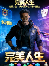 完美人生：从失业大叔到游戏霸主 封面